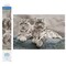 Diamond Dotz Snow Leopards Hemis National Park Kashmir India Diamond Painting Kits for Adults - Diamond Art Kits a Relaxing Creative Craft Kit with Dotz Gems 19.7x29.5